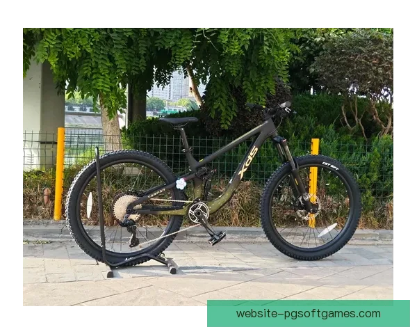 山地车训练全攻略，提升技术与体能，助你成为骑行高手